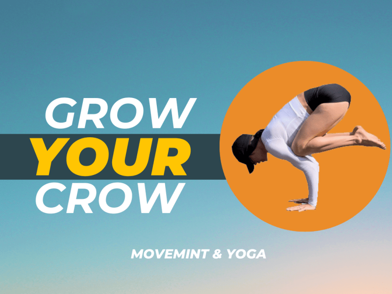 Introducting Grow Your Crow!